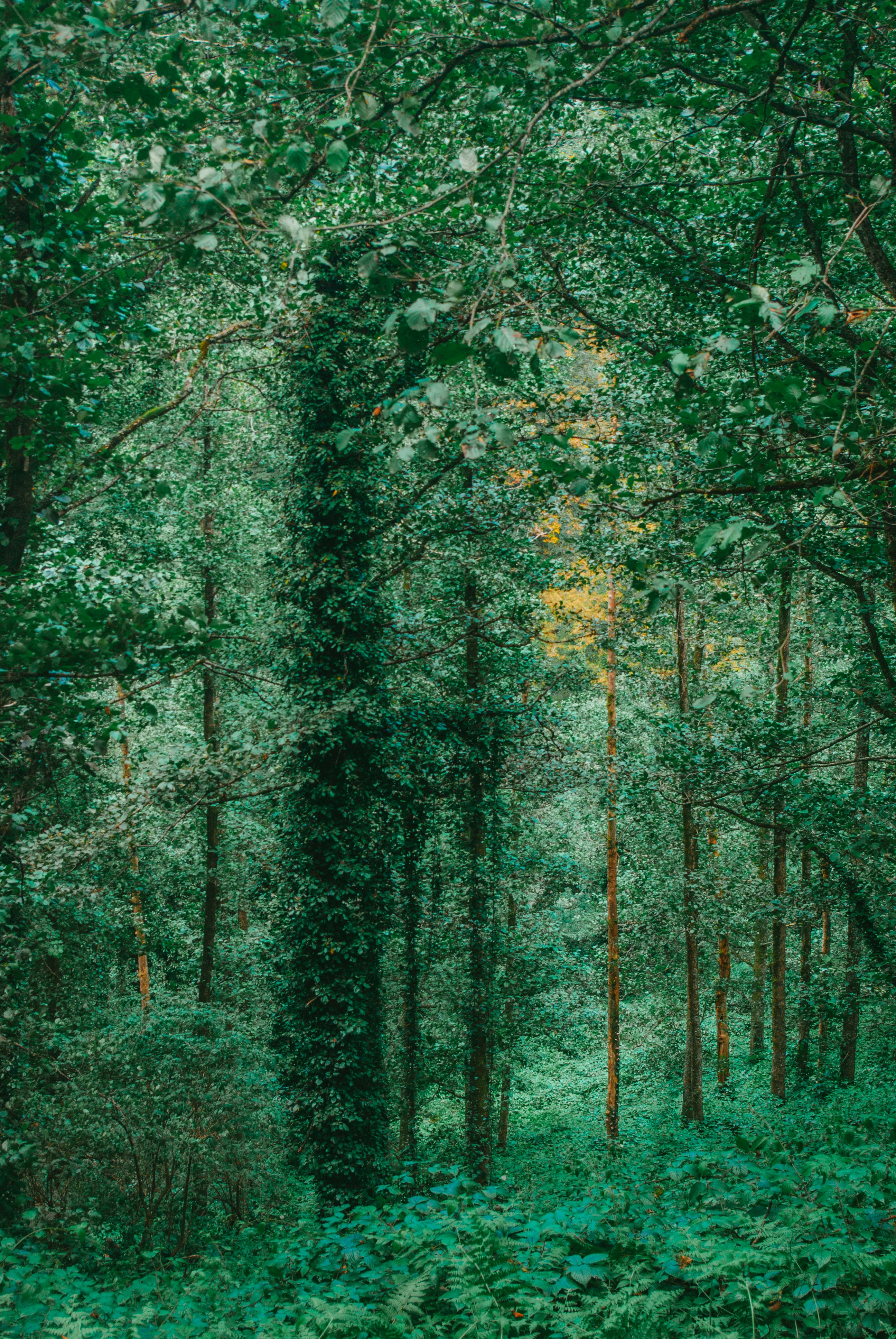 Photo by moonmoons_days