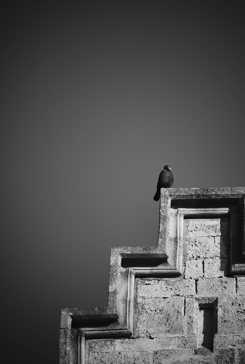 a black and white photo of a bird sitting on top of a set of stairs