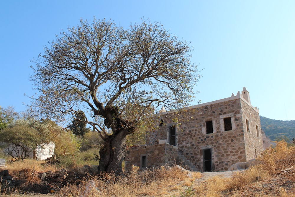 a stone building with a tree in front of it