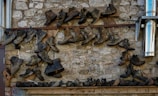 A collection of old, worn-out boots and shoes are mounted on a rough stone wall. The footwear is arranged in a seemingly random manner, hanging from metal rods and wooden planks. A shiny metal pipe is visible on the right side, contrasting with the rustic appearance of the wall and shoes.