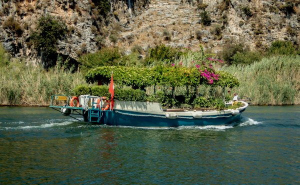 A boat with plants on the back of it in a body of water — Dalyan, Turkey