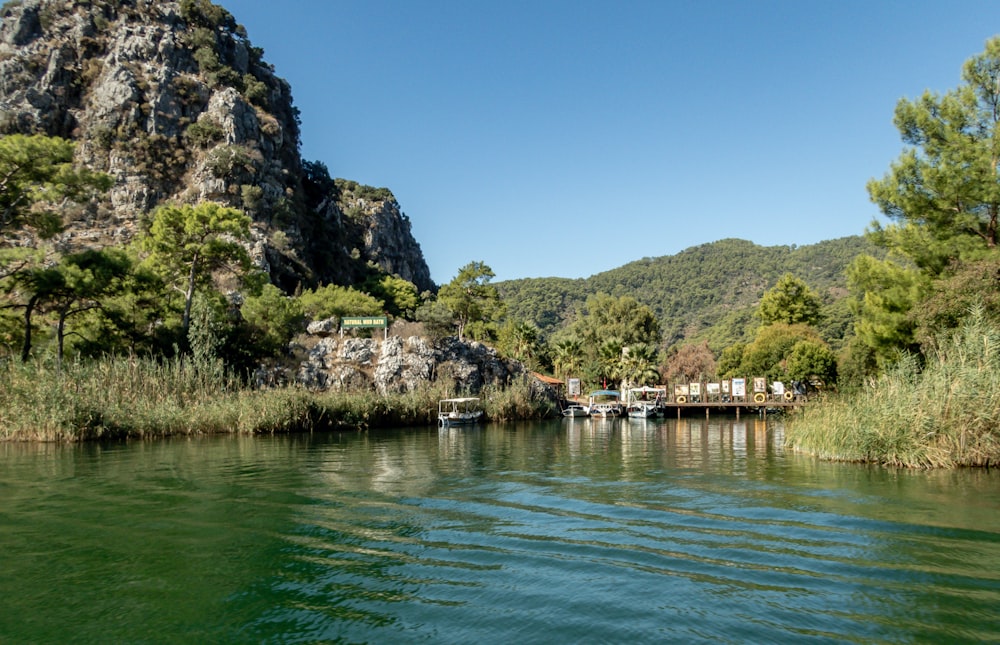 a body of water surrounded by trees and mountains