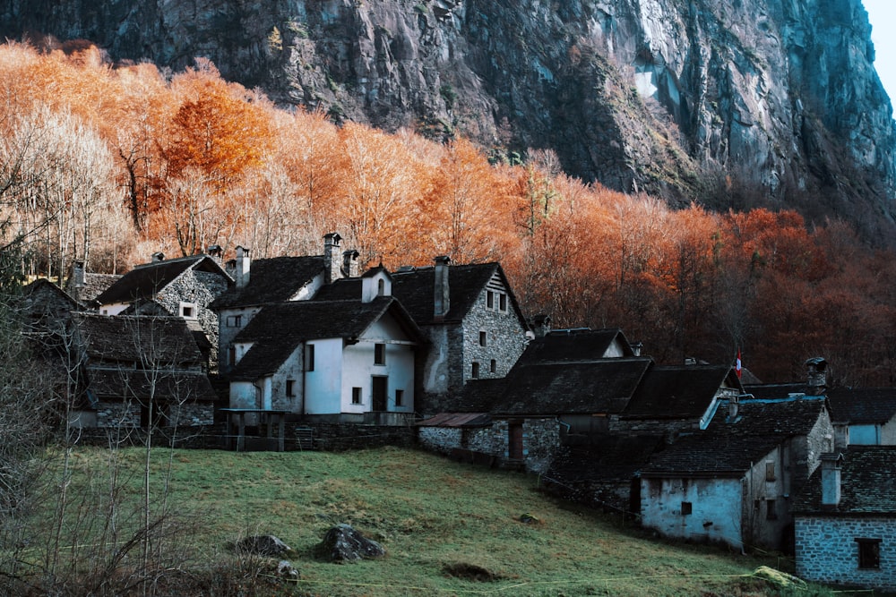 an old village with a mountain in the background