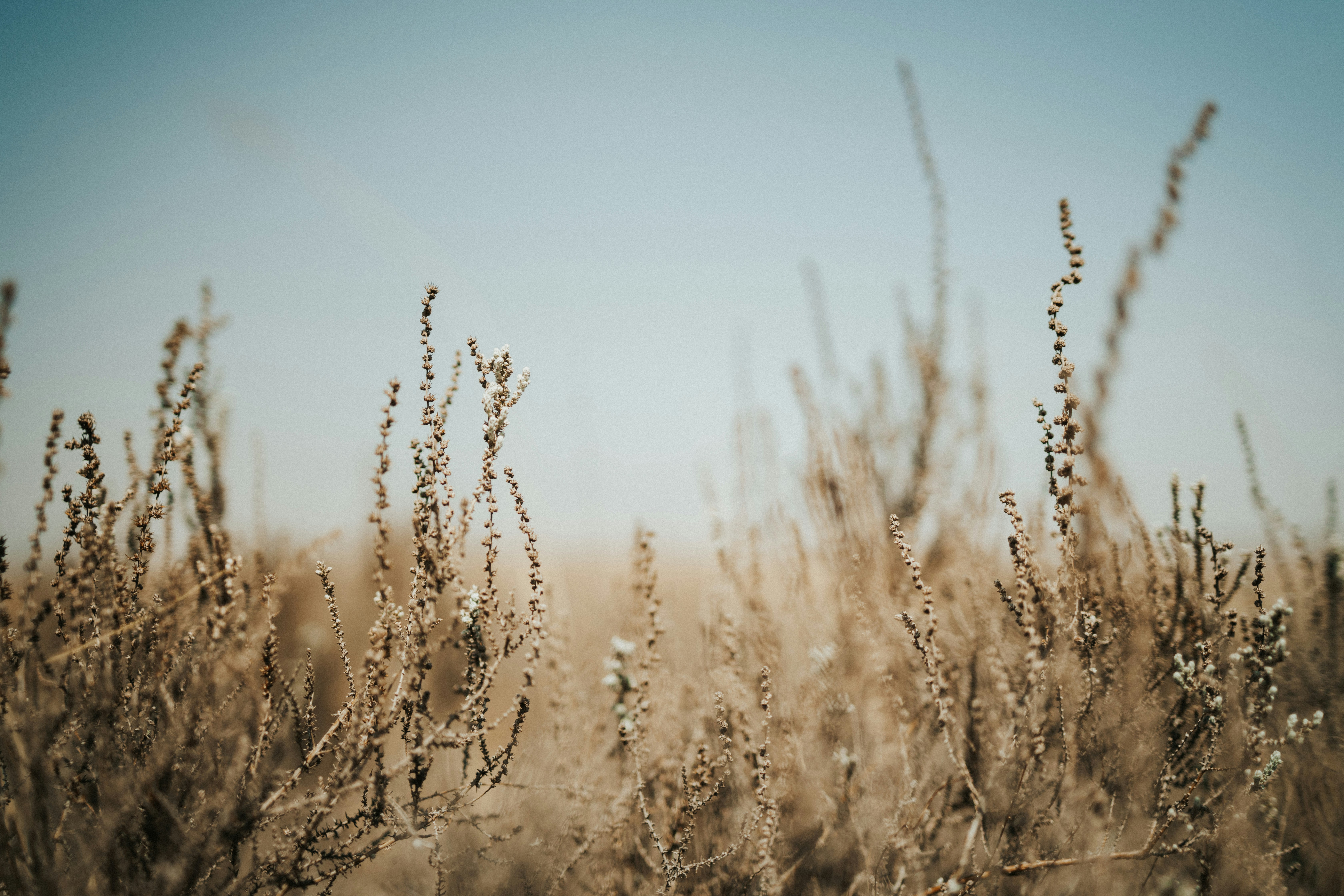 Photo by melissaleigh