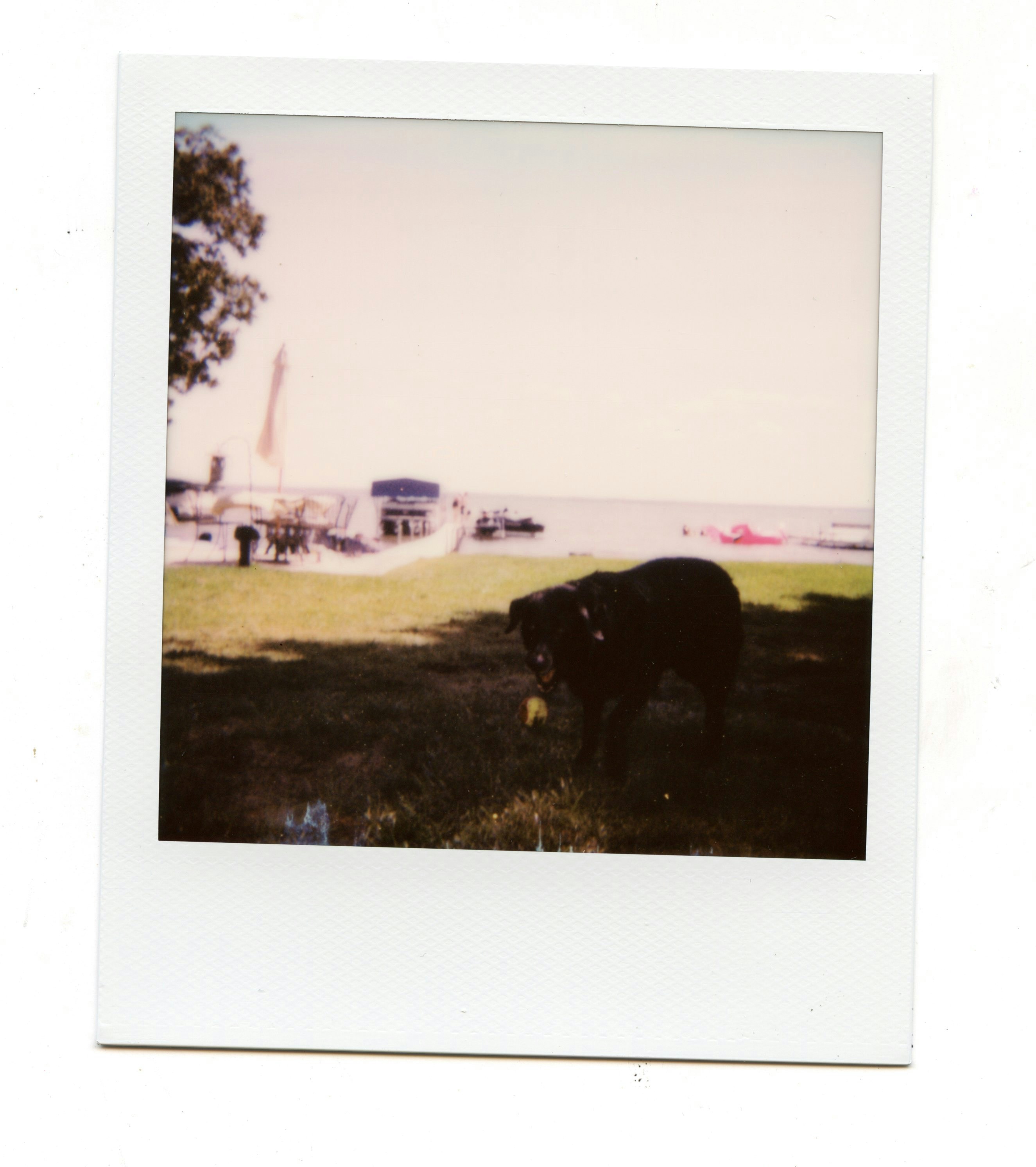 Mullett Lake, Michigan. August, 2021.
