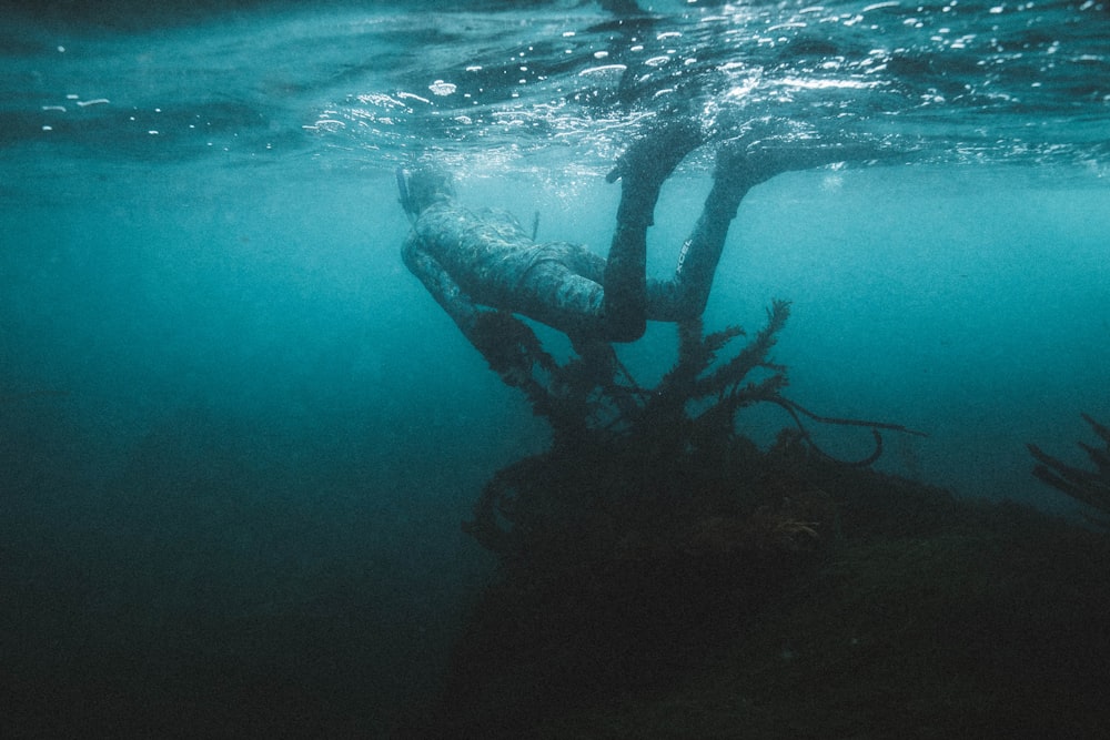 an underwater view of a tree in the water