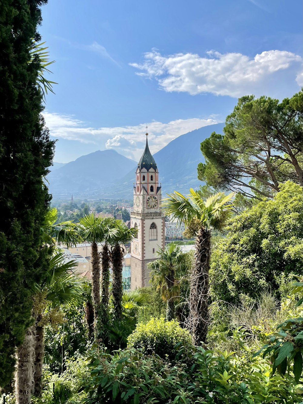 a clock tower surrounded by trees and bushes