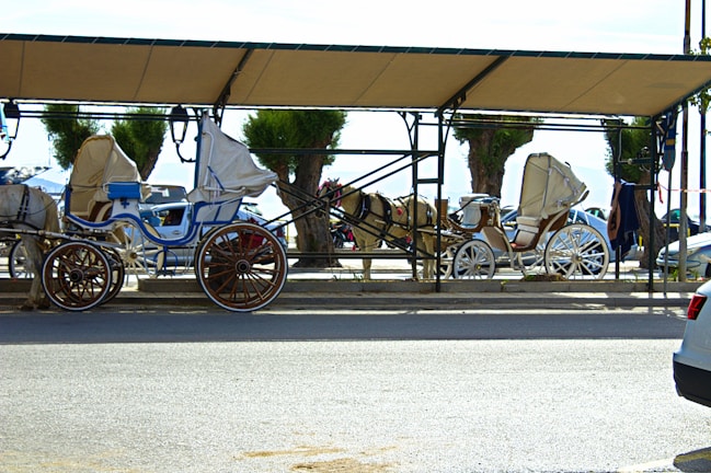 Several yegua carts lined up neatly in a storage area with city buildings in the background.