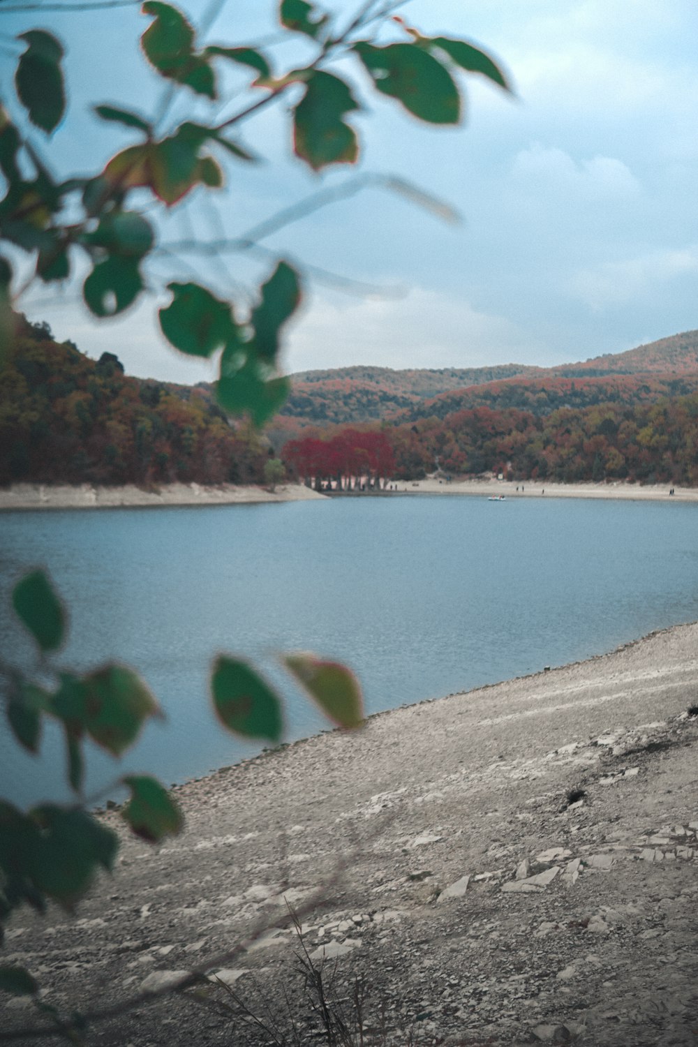 a large body of water surrounded by trees