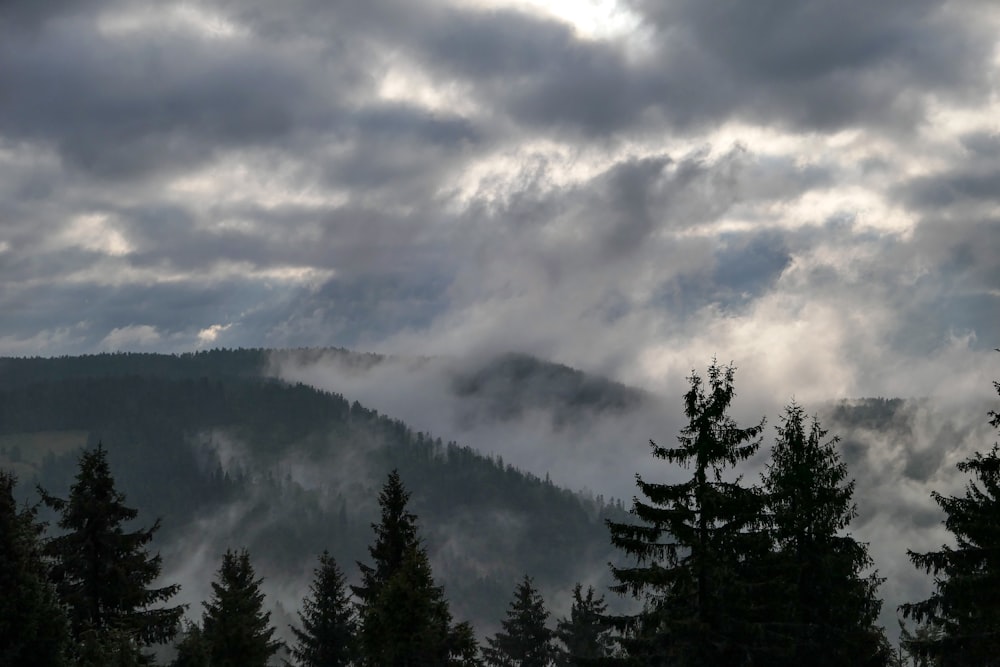 a mountain covered in clouds and trees under a cloudy sky