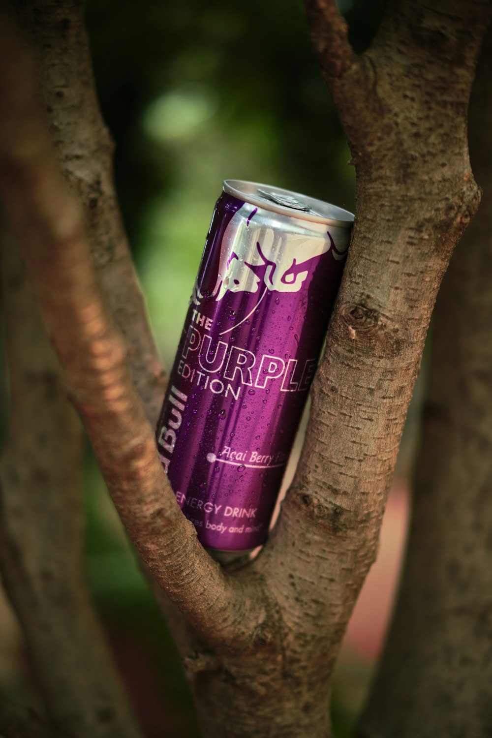 a can of purple beer sitting in a tree