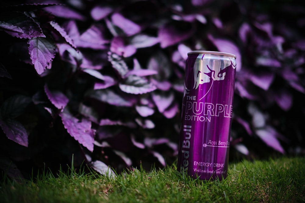 a purple energy drink sitting on top of a lush green field