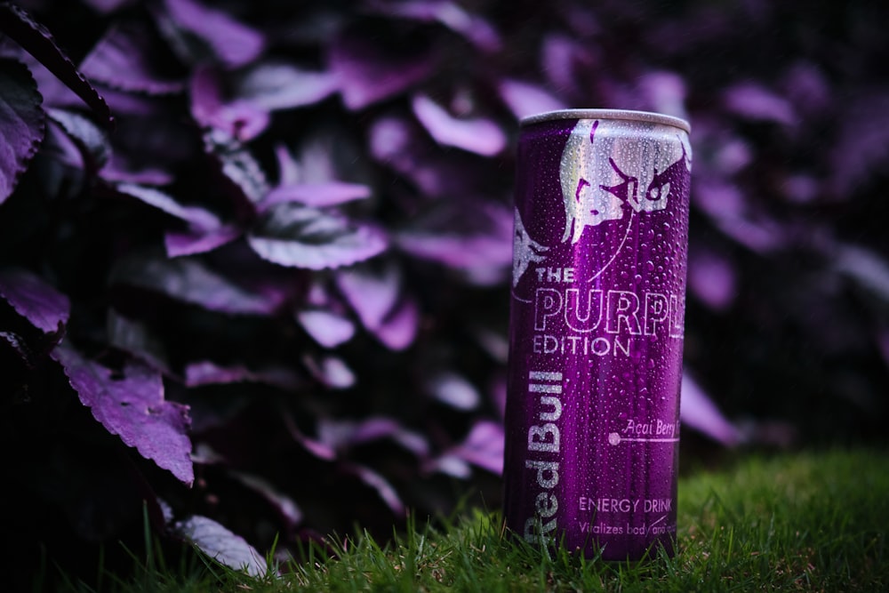 a purple can of energy drink sitting in the grass