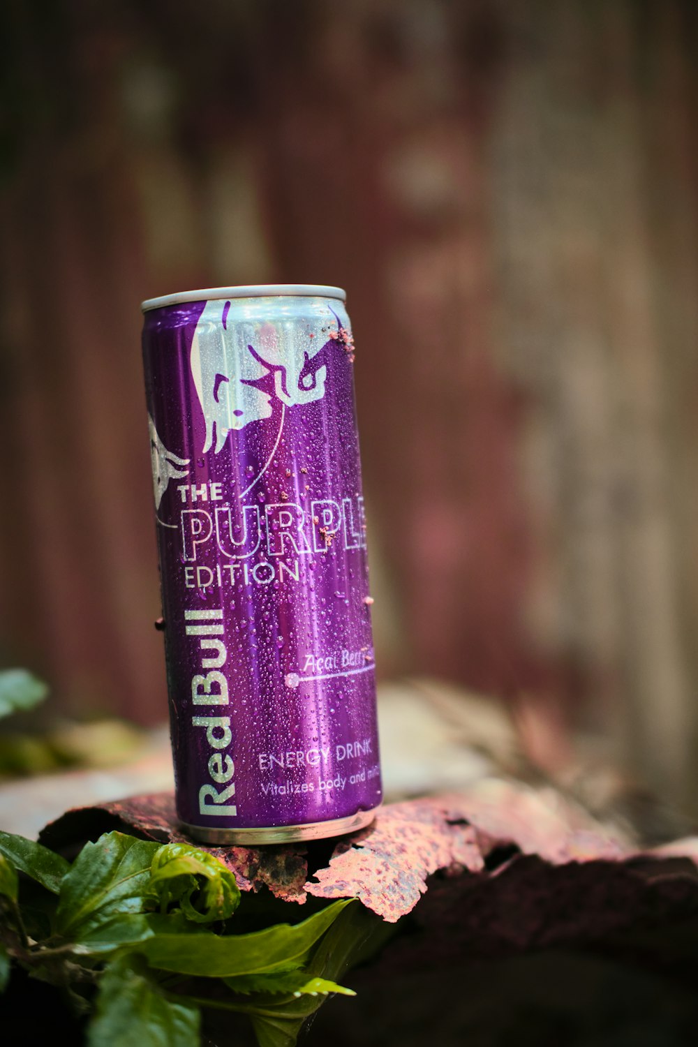 a can of beer sitting on top of a tree stump