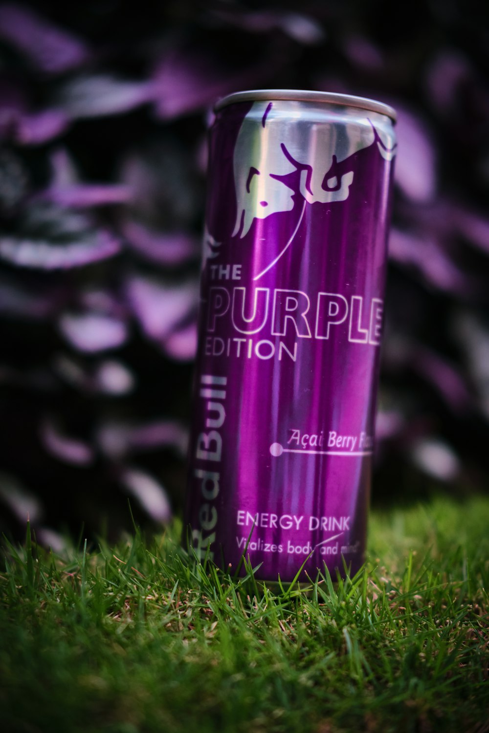 a purple can of energy drink sitting in the grass