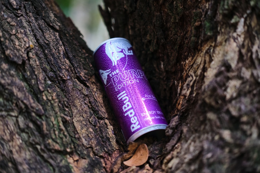 a can of beer sitting on top of a tree