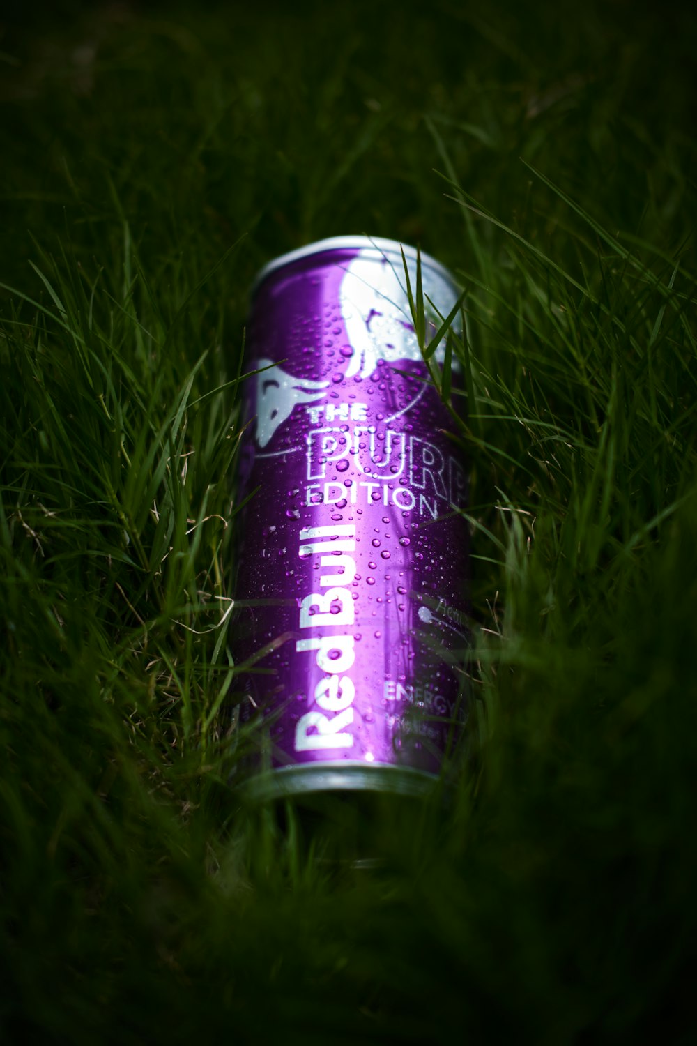 a can of beer sitting in the grass