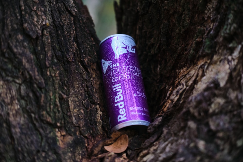a can of beer sitting in the middle of a tree