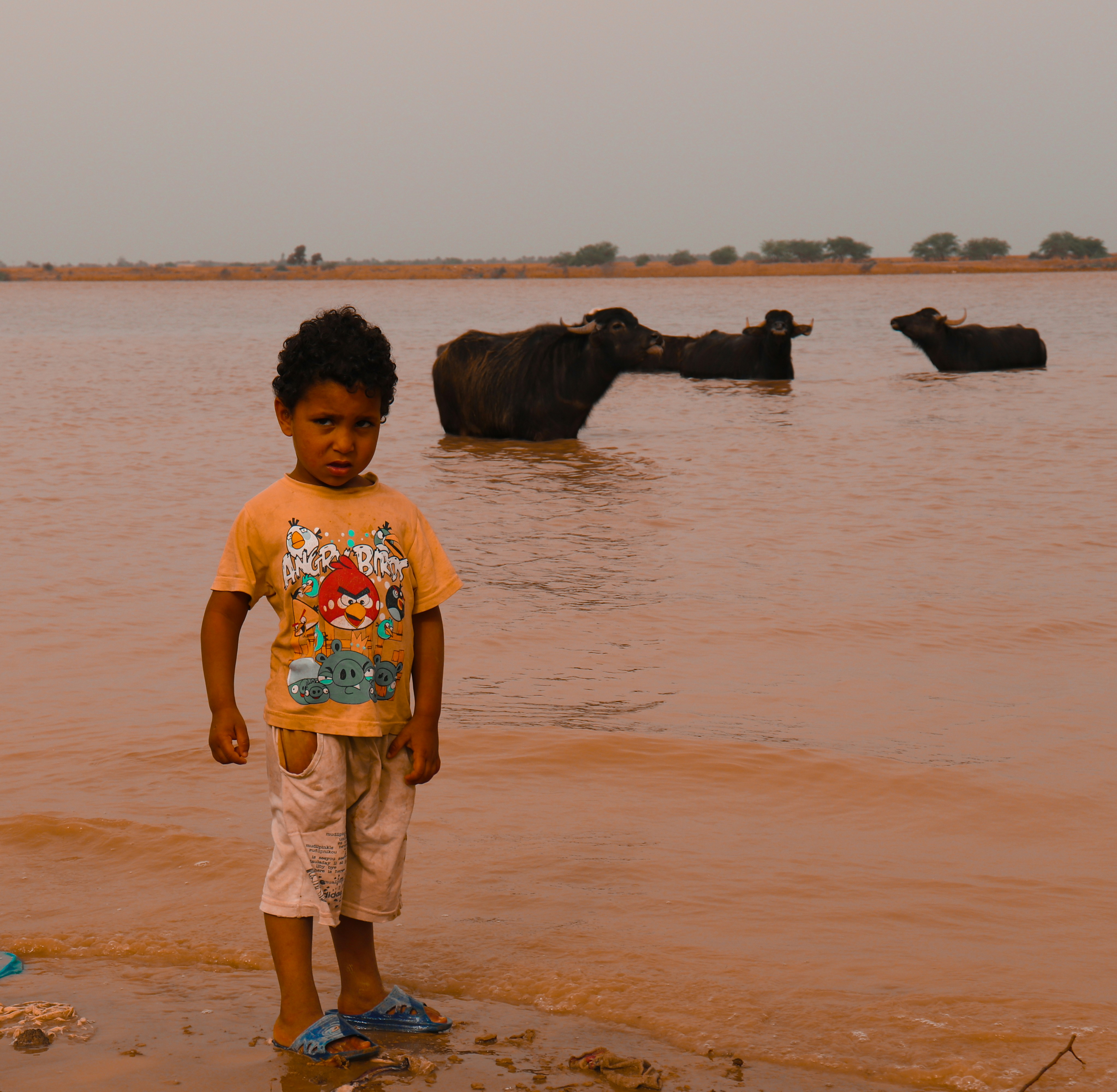 Photo by sinabahar76