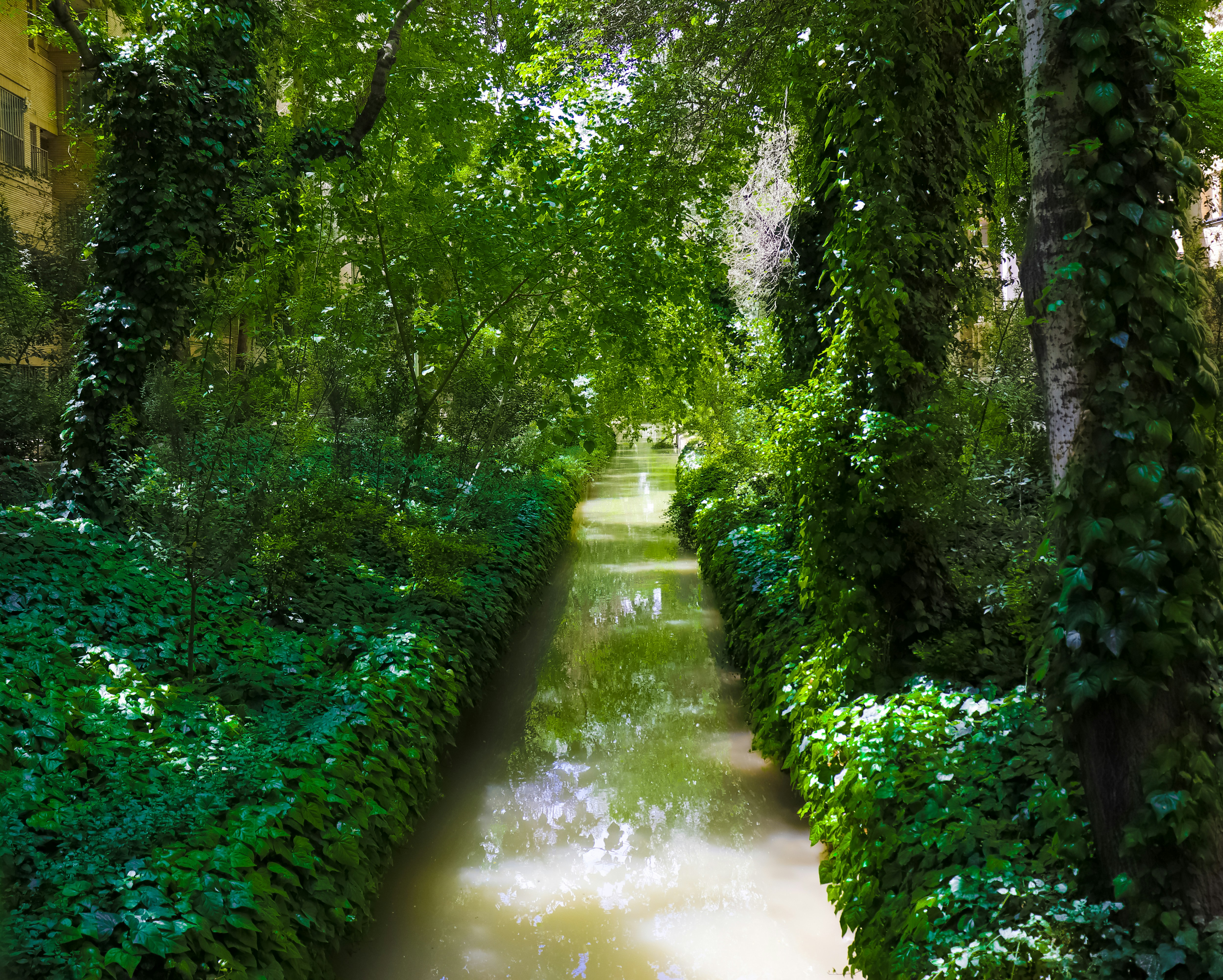 Photo by sinabahar76