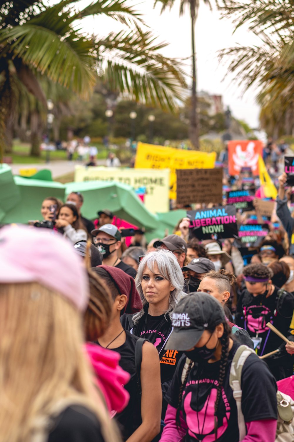 a large group of people walking down a street