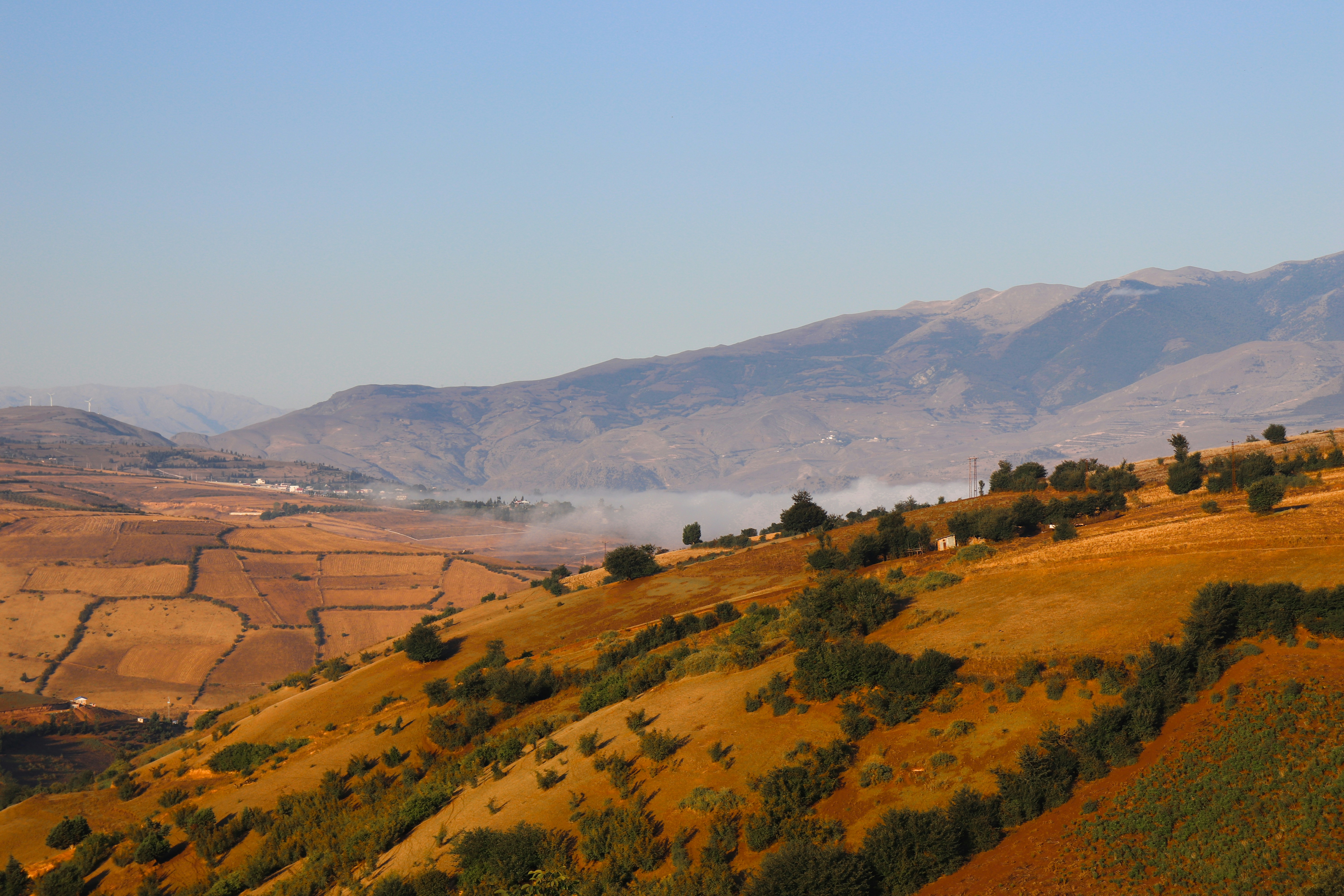 Photo by sinabahar76