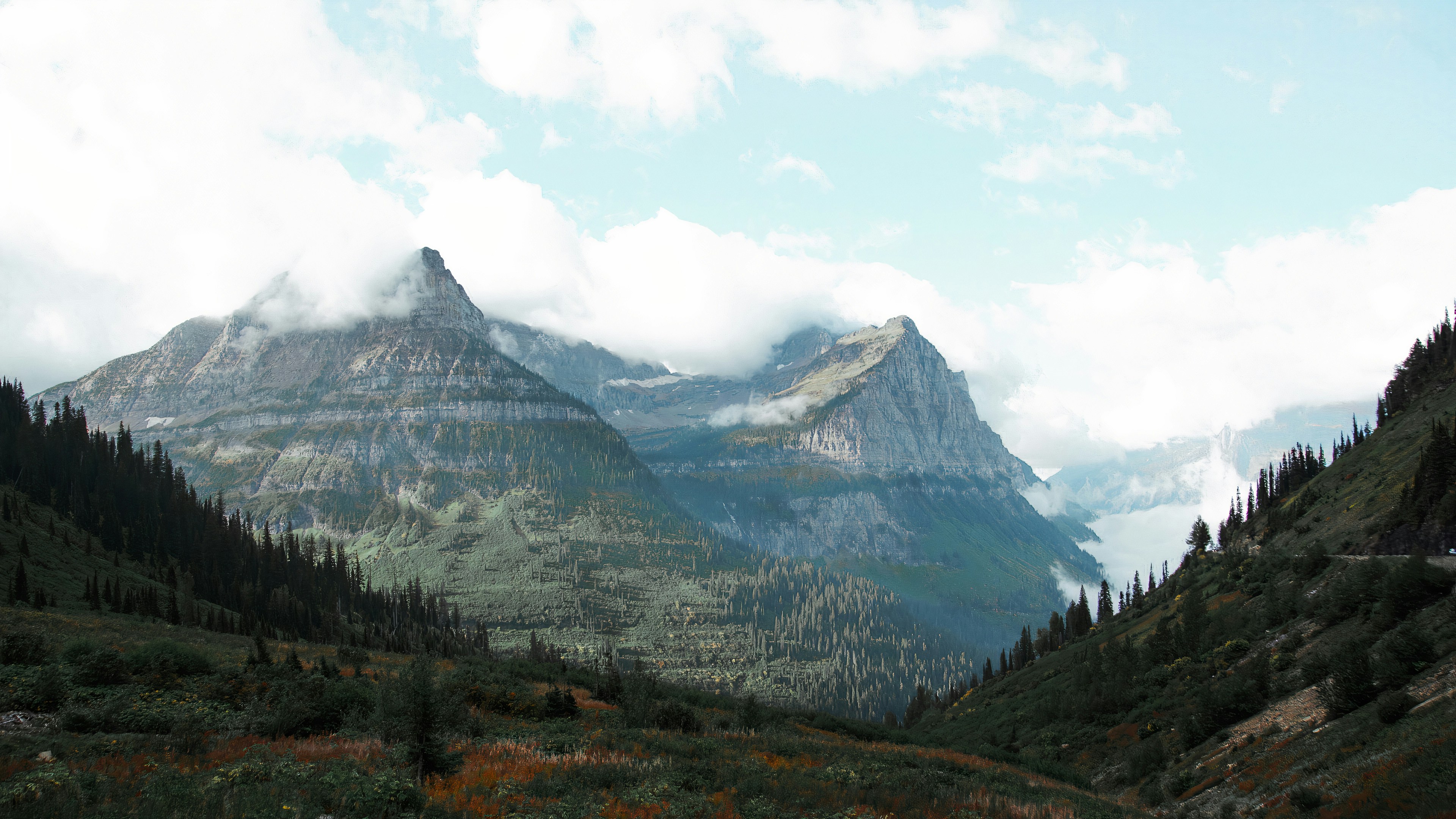 Yellowstone + Grand Teton + Glacier Loop