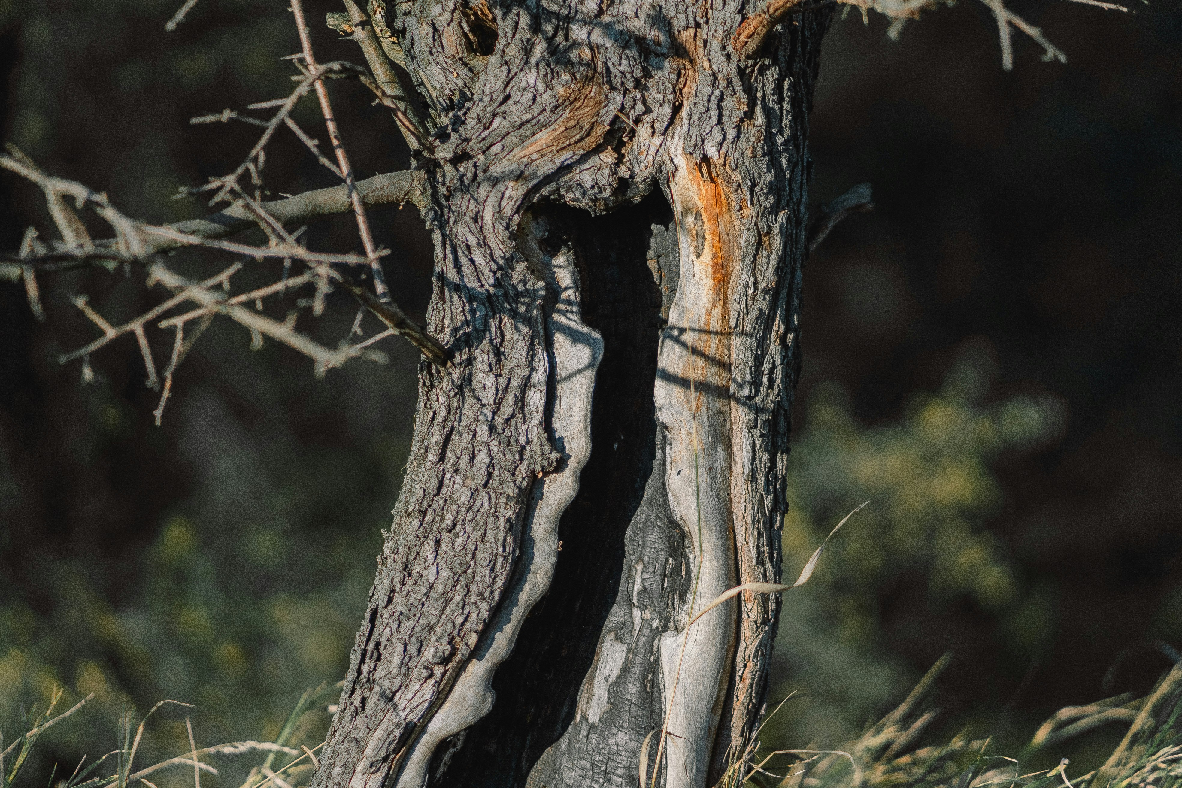 Photo by eugenechystiakov