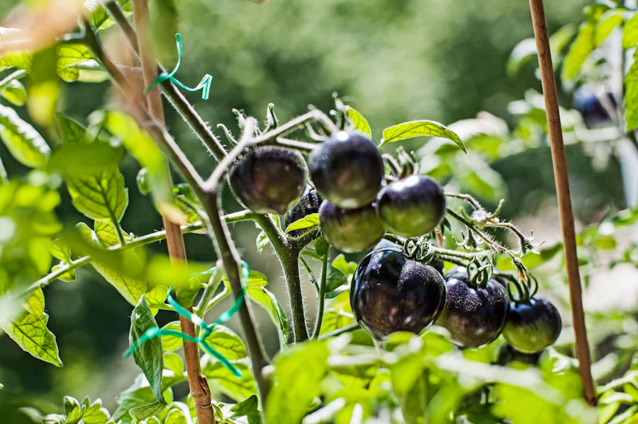 GreenThumb Gardens