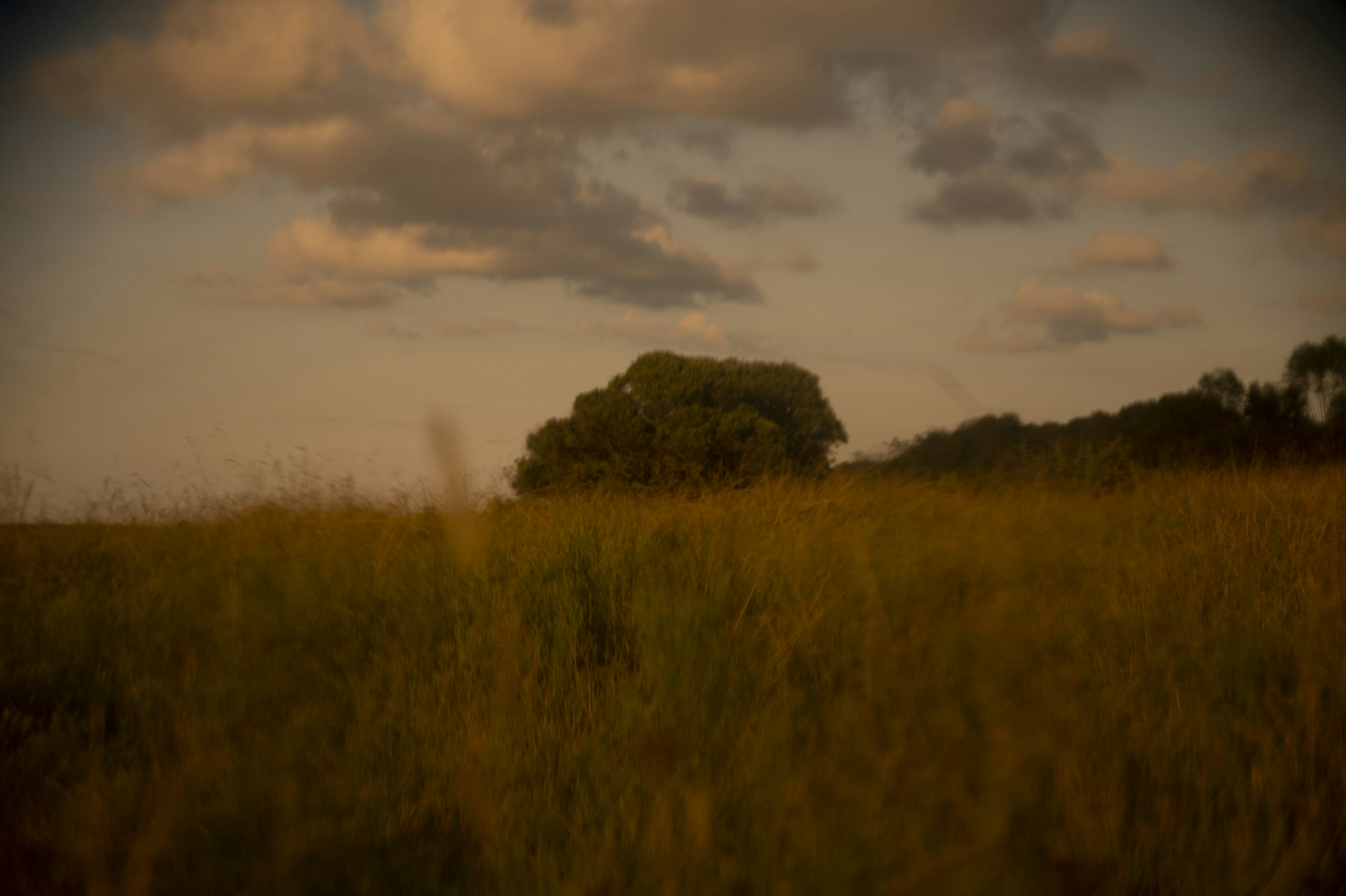 Photo by emrehan