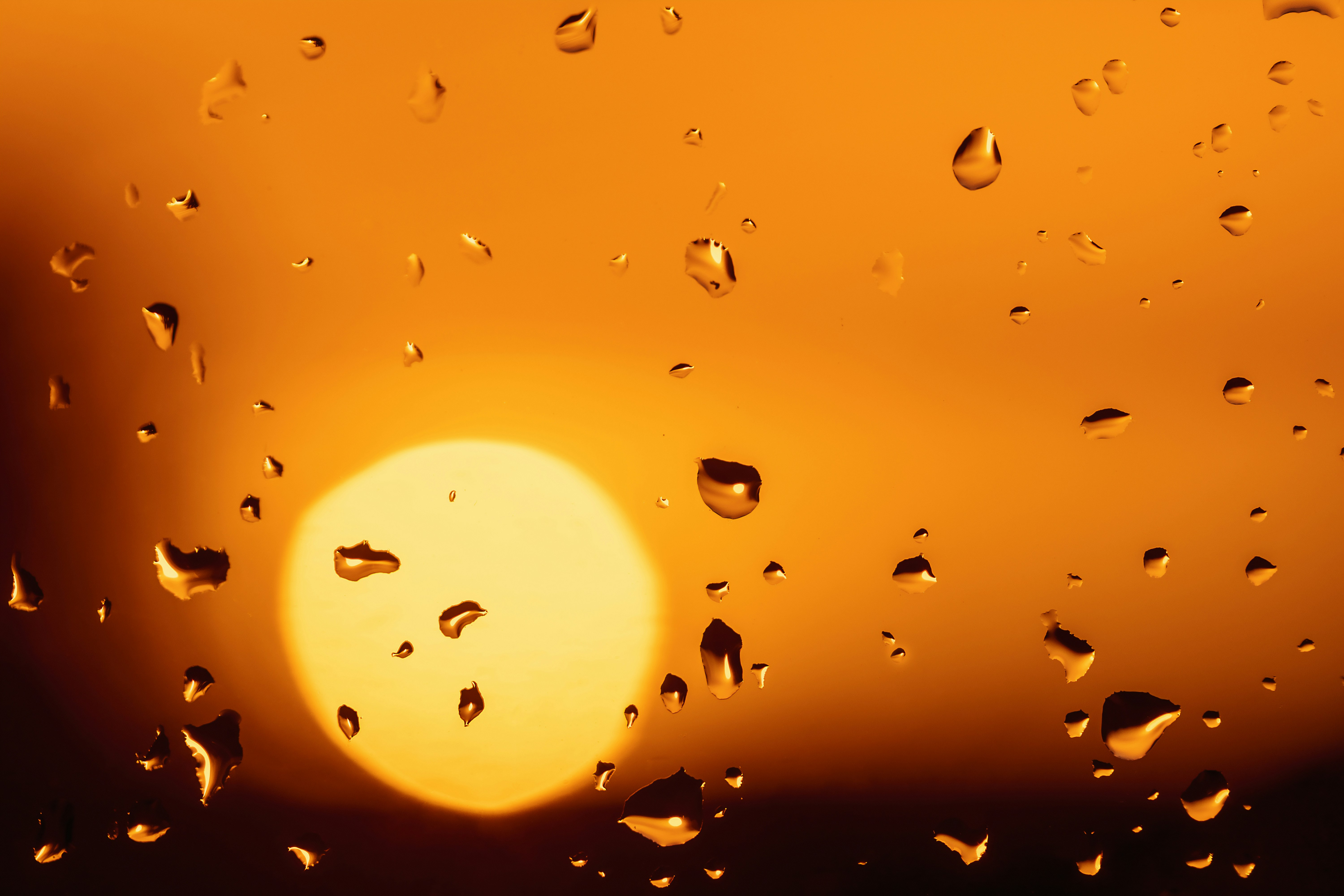 Photo by myriamzilles