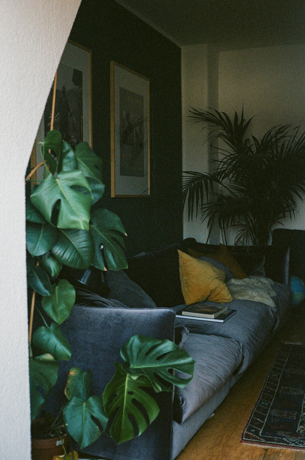 una sala de estar llena de muebles y una planta