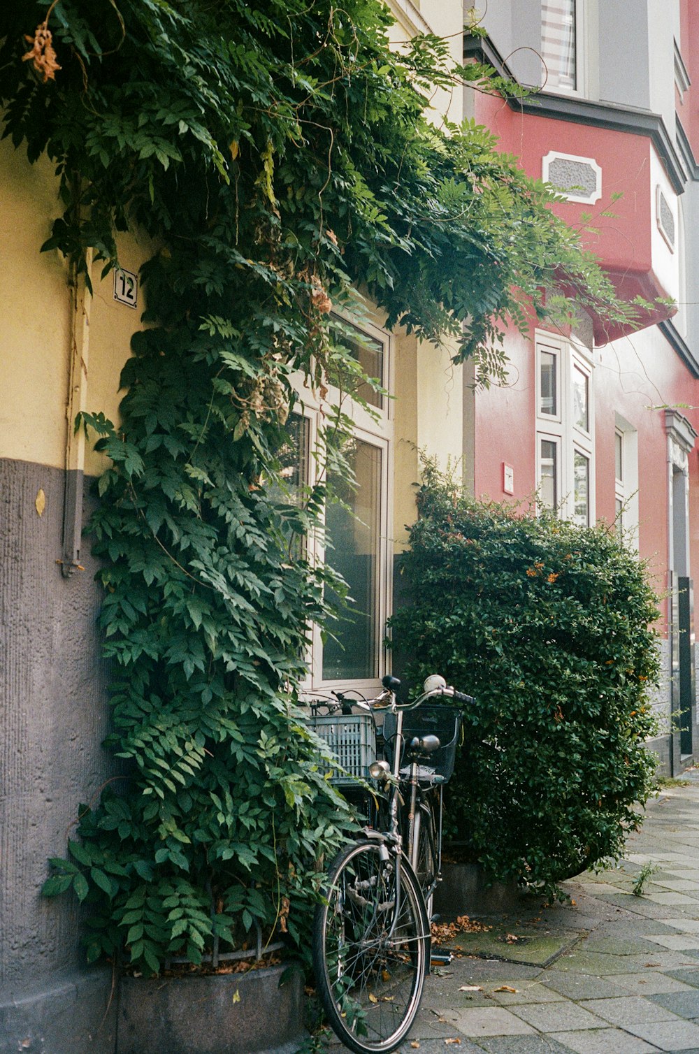 a bicycle parked next to a building covered in vines