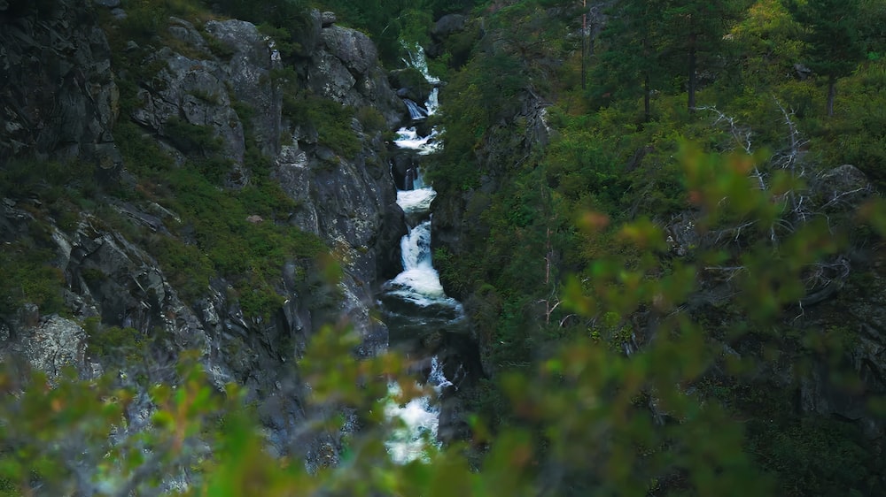 Una cascata nel mezzo di una foresta