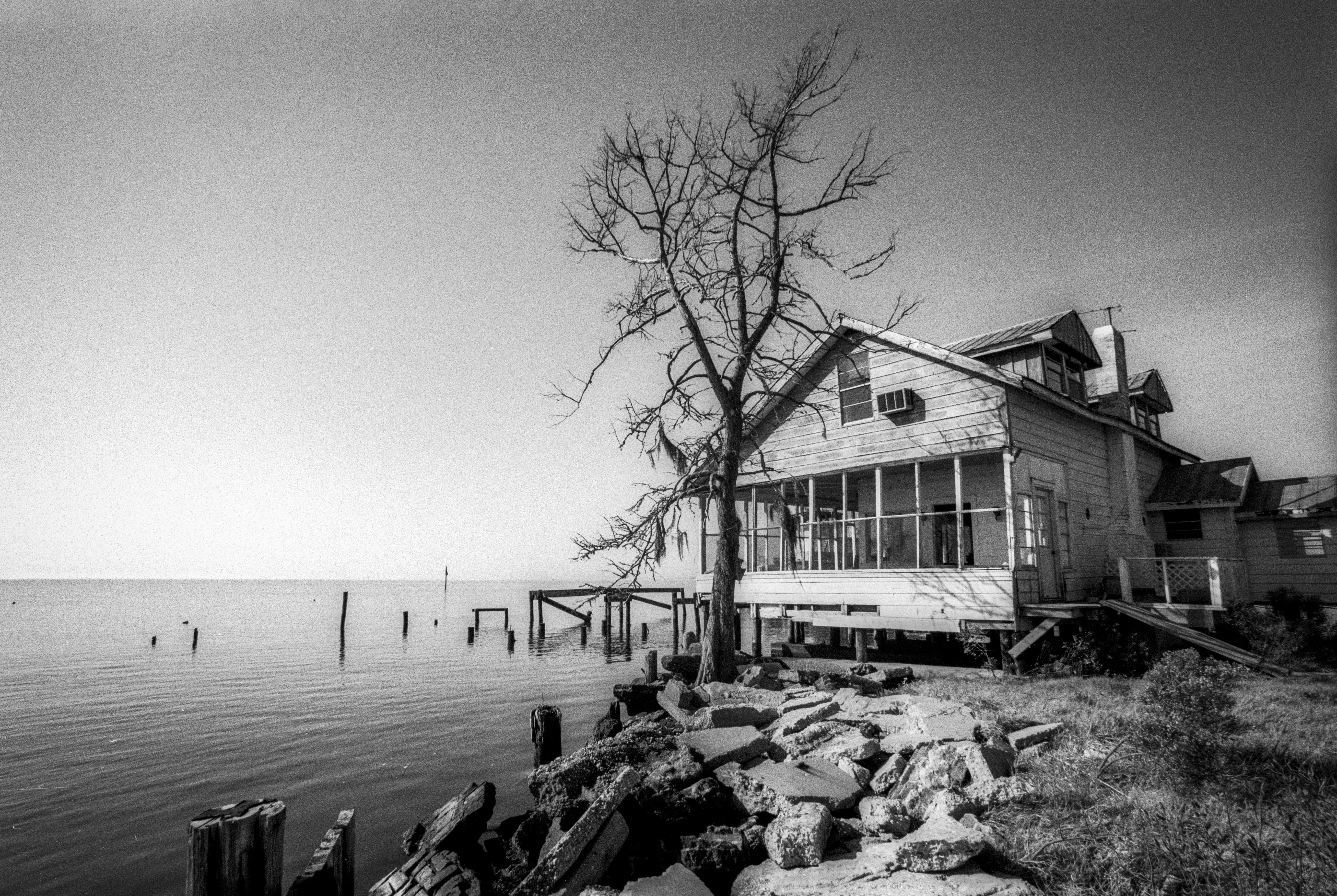 A 2001 trip to the New Orleans area yielded some interesting images of bayou life and texture. // shot on Kodak TMax 100 film, Canon A2E, Scanned on Nikon CoolScan 4000.
