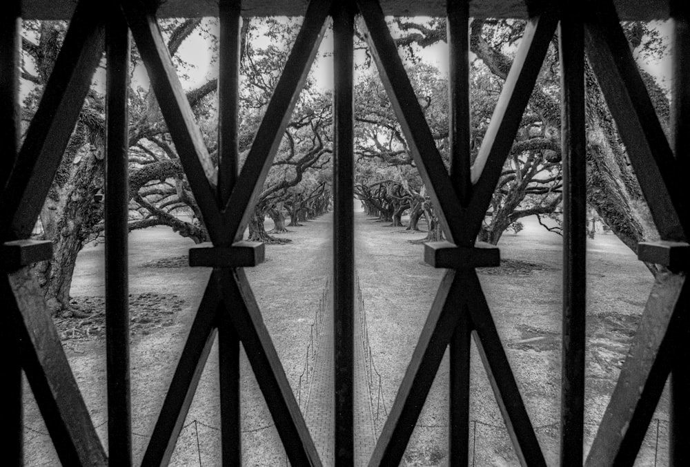 a black and white photo of trees through a gate