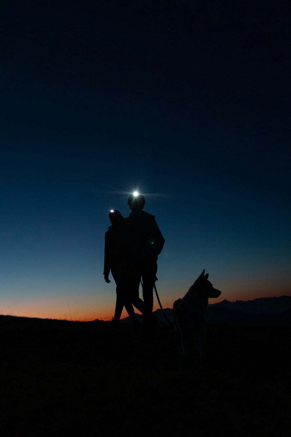 a person with a dog in a field at night