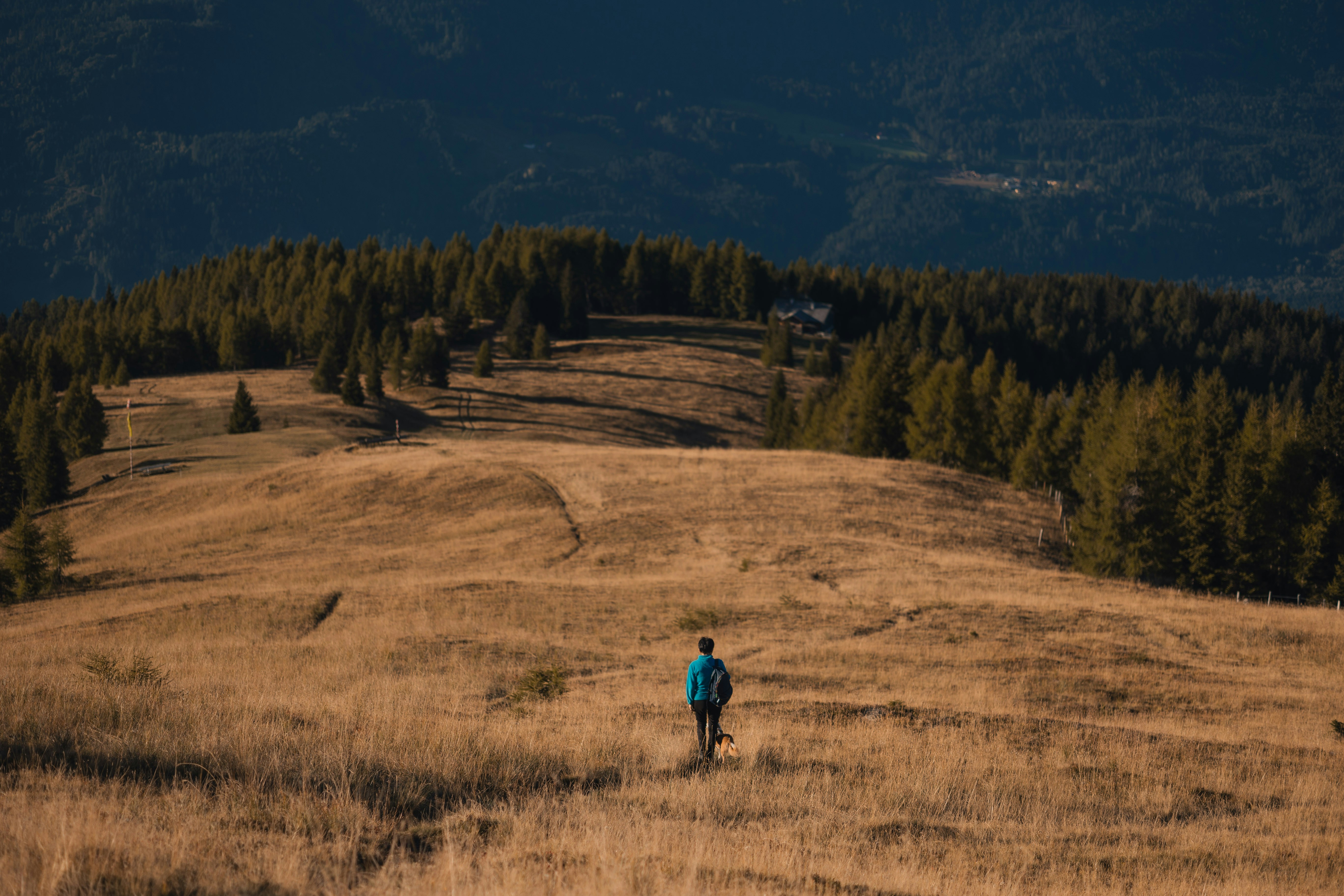 a person standing in a field with trees in the background