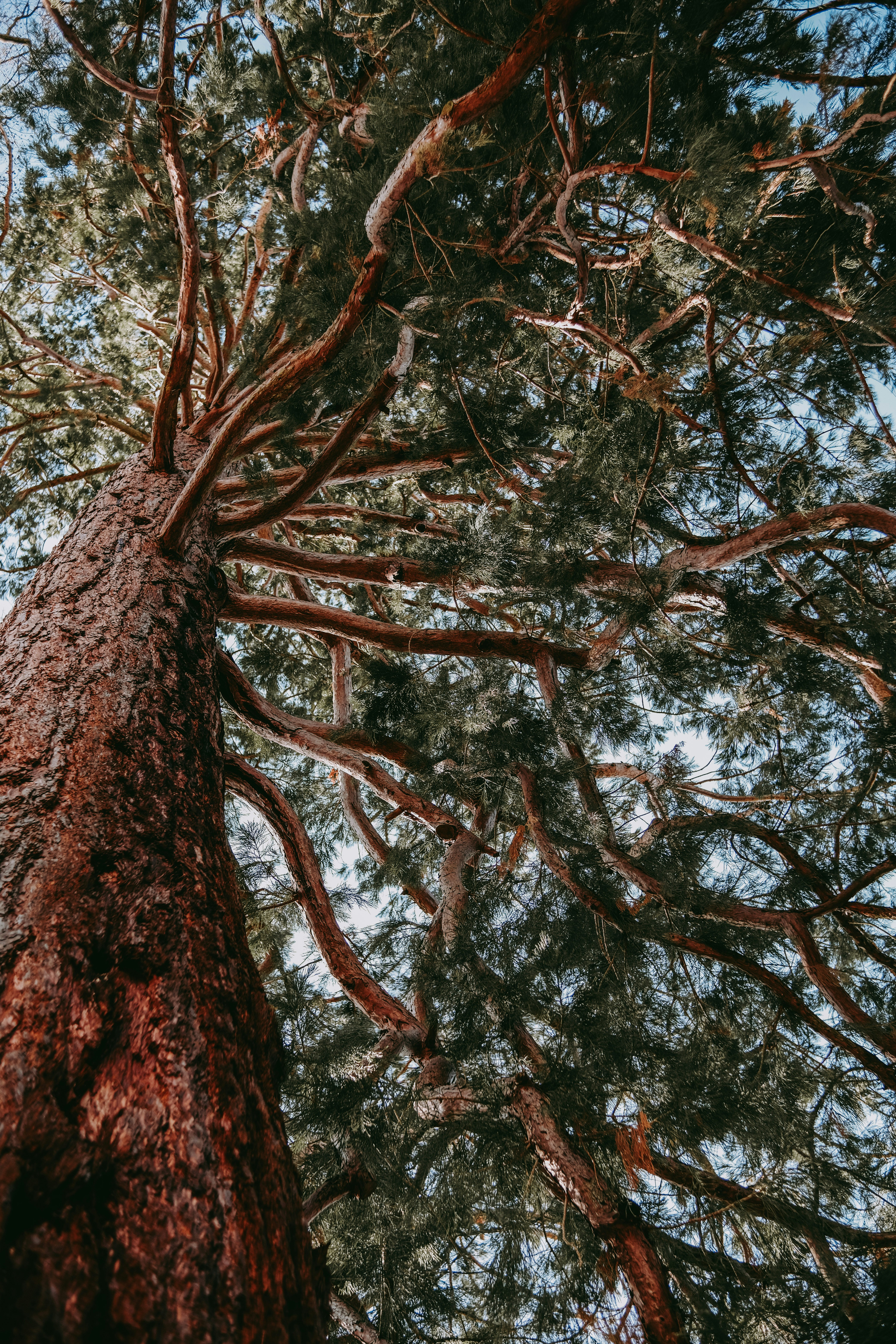 Photo by juliablumberg