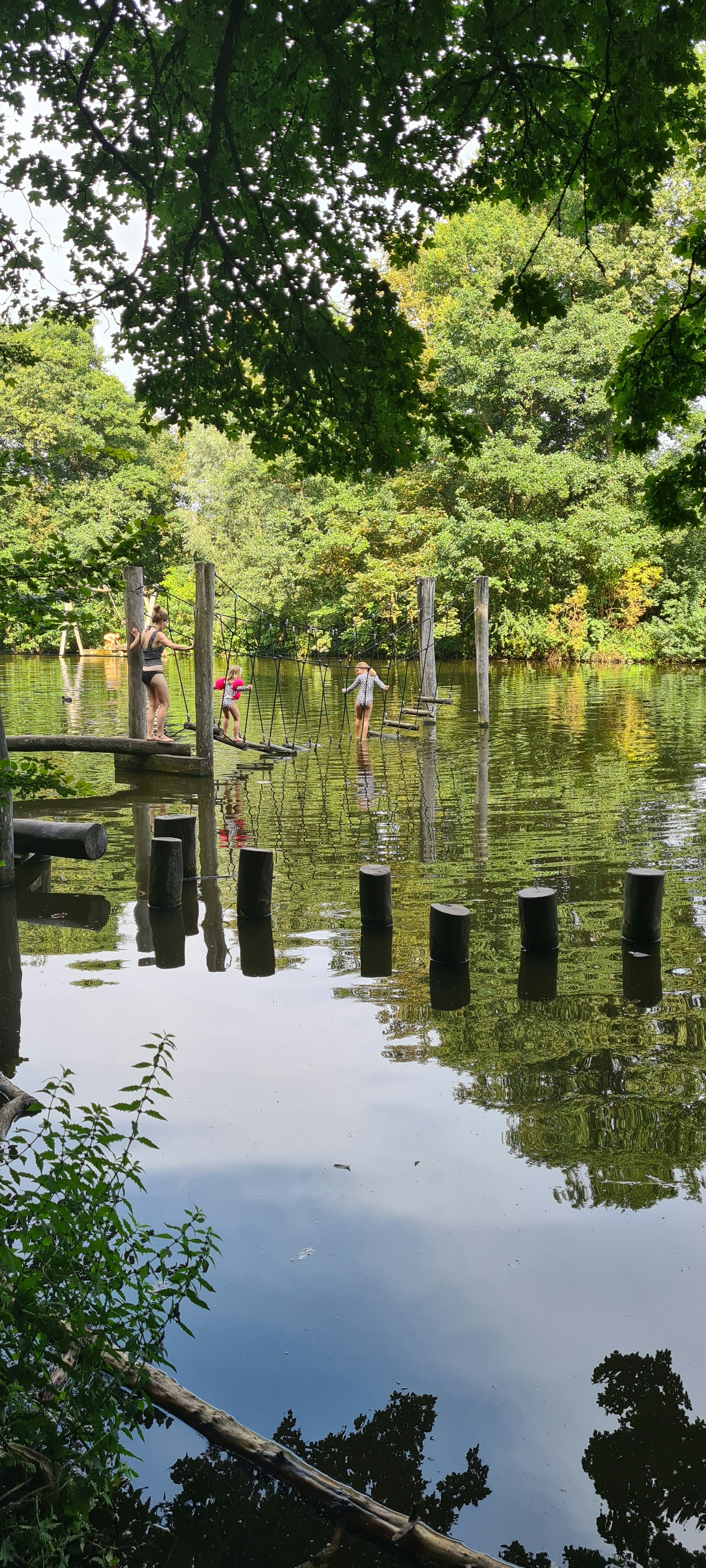 Actividades al Aire Libre: Juegos y Excursiones para Conectar con la Naturaleza