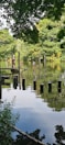 A serene outdoor scene featuring a lake with people engaged in an outdoor activity involving walking across a series of wooden posts and ropes. The water reflects the surrounding lush greenery, and the area is shaded by overhanging branches.
