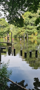 A serene outdoor scene featuring a lake with people engaged in an outdoor activity involving walking across a series of wooden posts and ropes. The water reflects the surrounding lush greenery, and the area is shaded by overhanging branches.