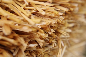 a close up of a bunch of wood shavings