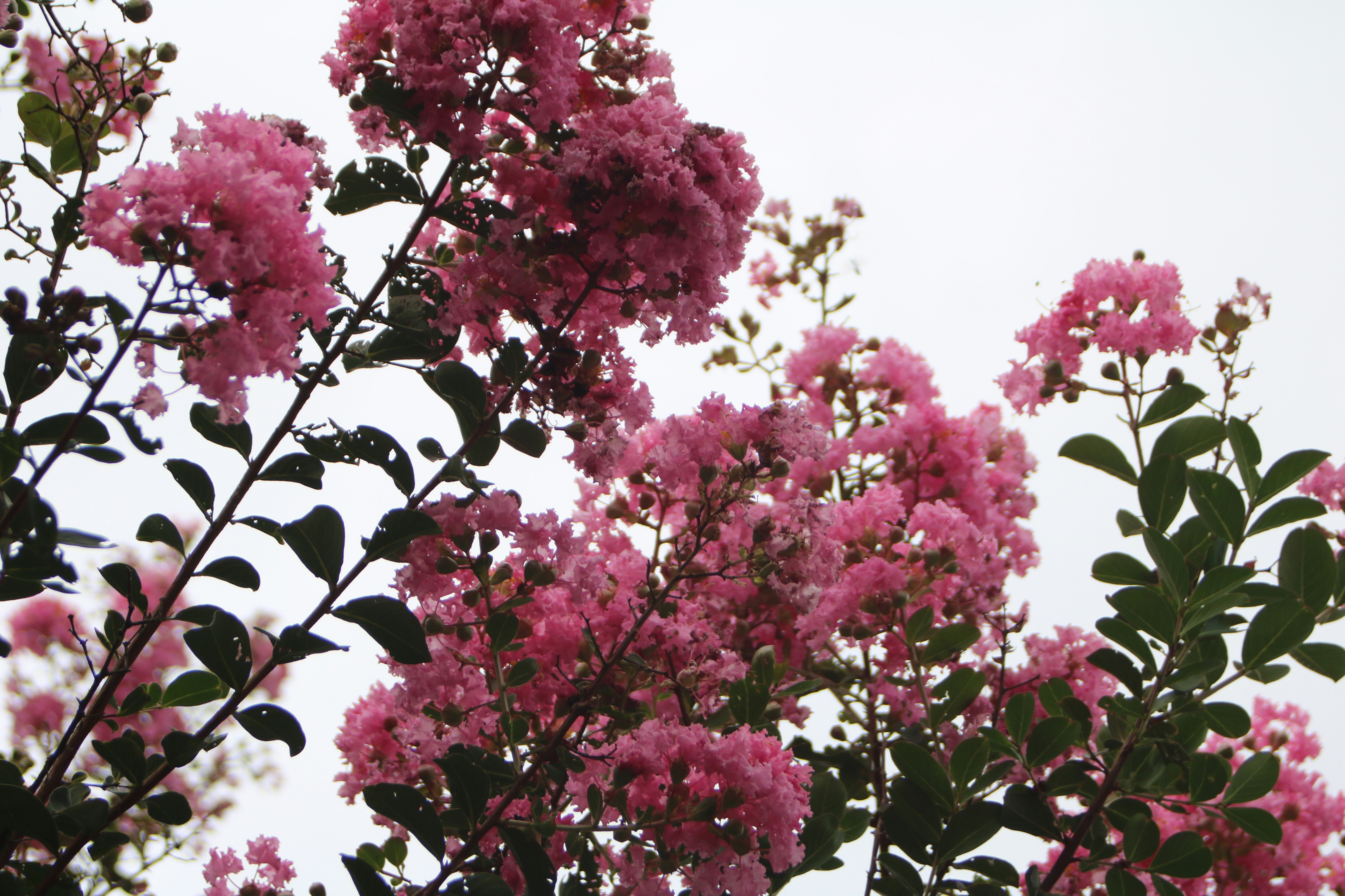 Photo by free_indeed_john8_36