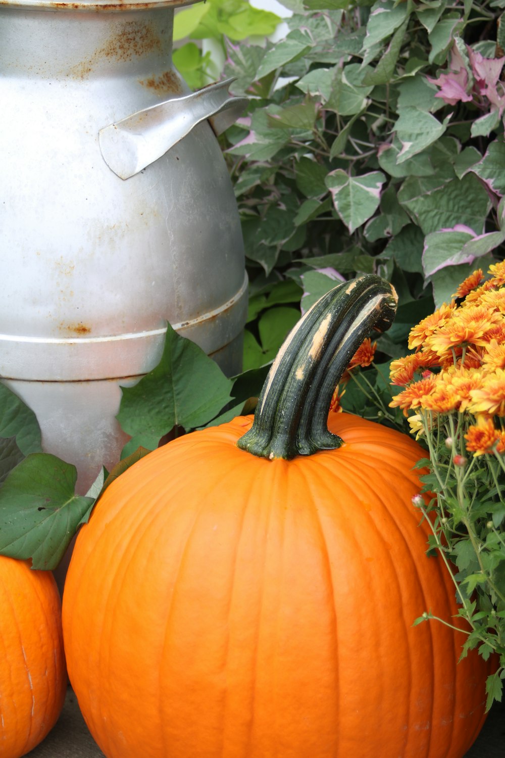 a couple of pumpkins sitting next to a watering can