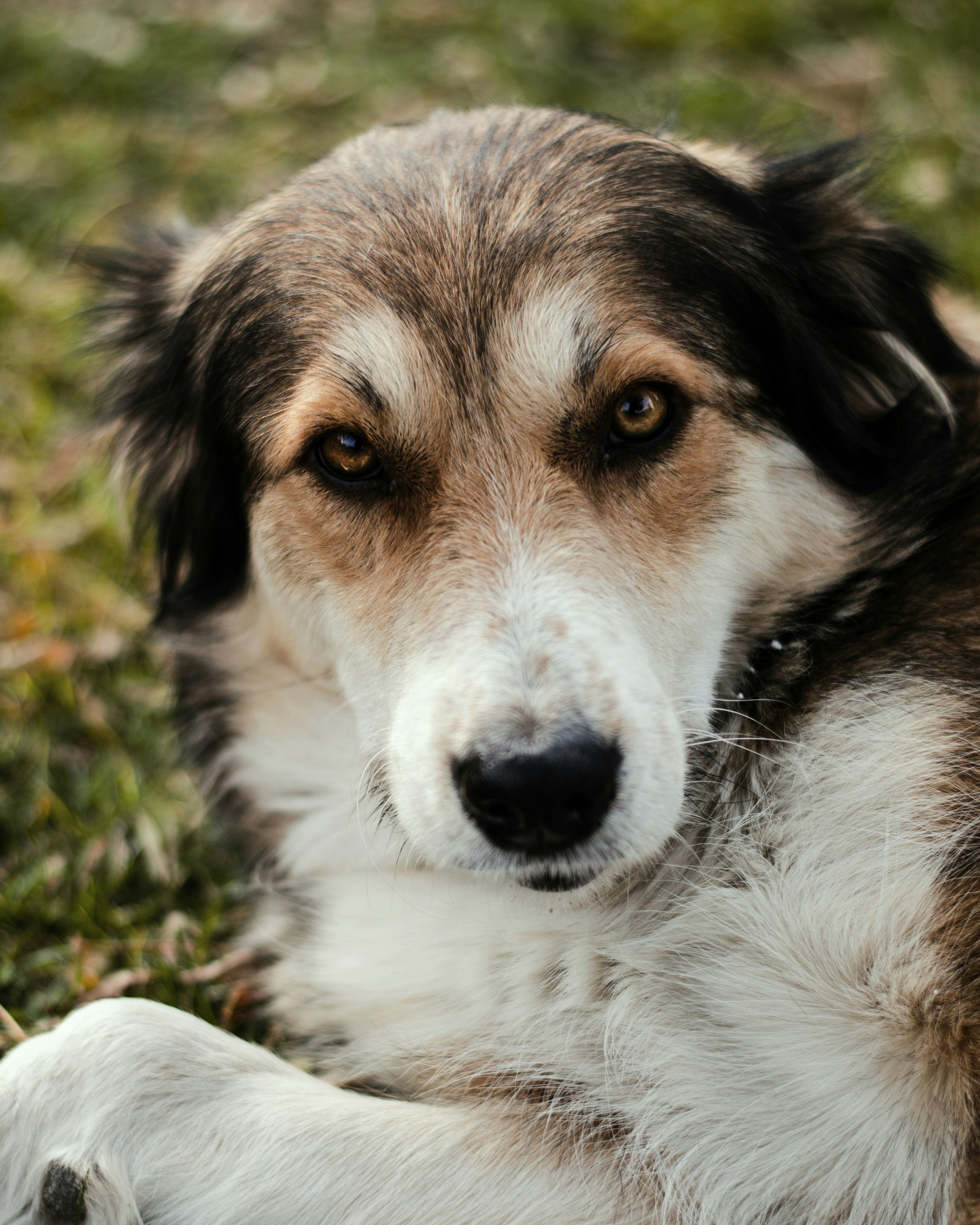 Photo by m_mohammadpour