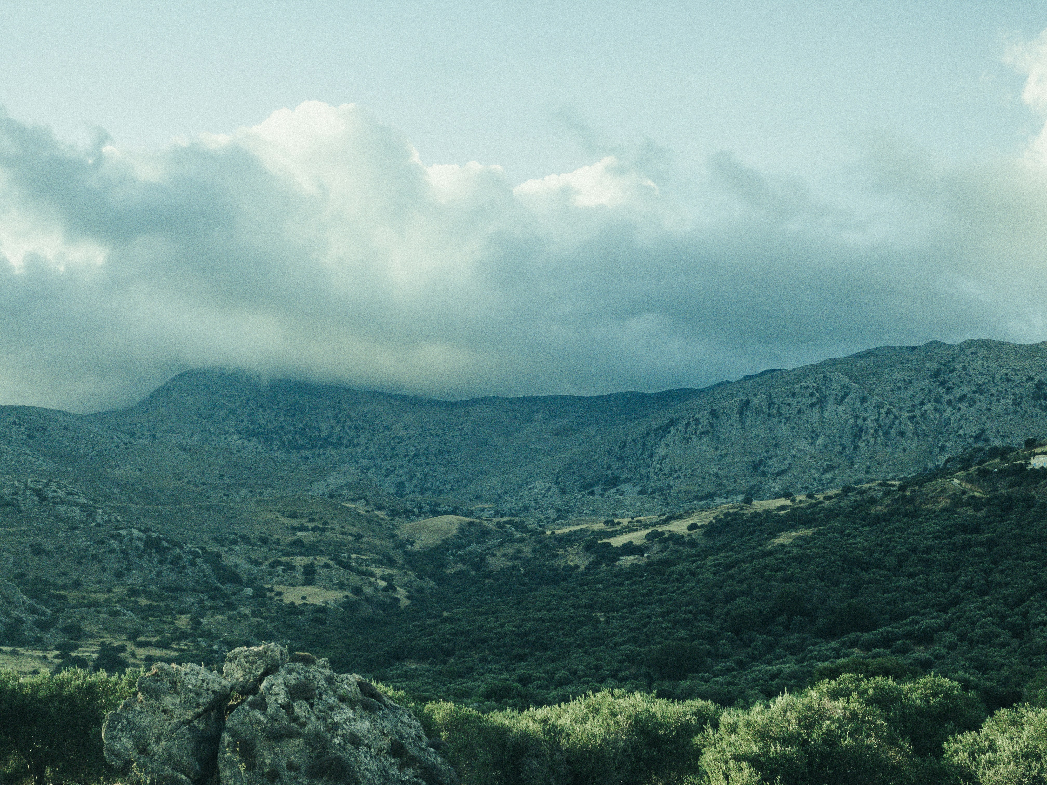 Photo by wilhelm_boettger