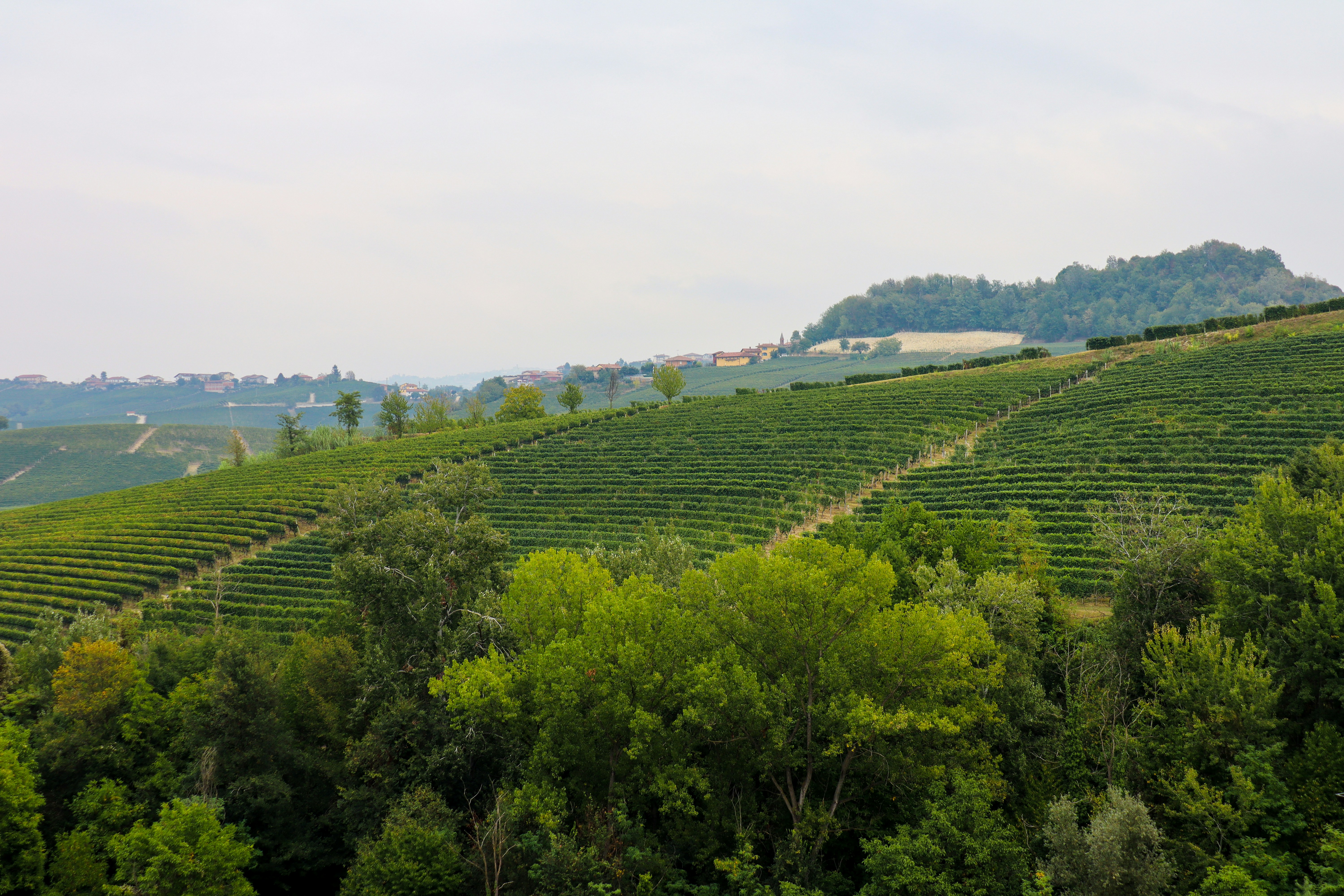 Photo by satyamkapoor