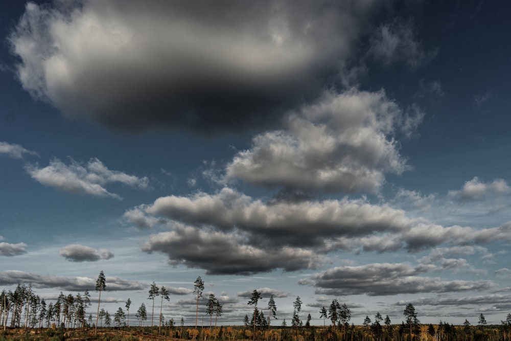 a field with trees and clouds in the sky