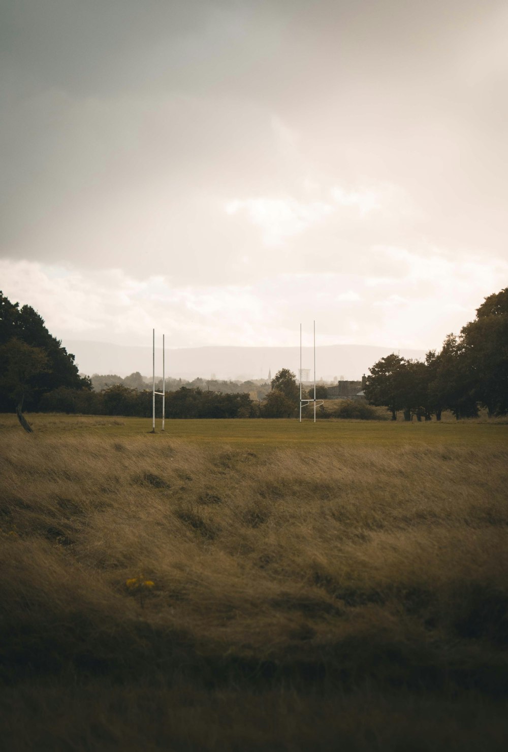 a grassy field with trees in the distance